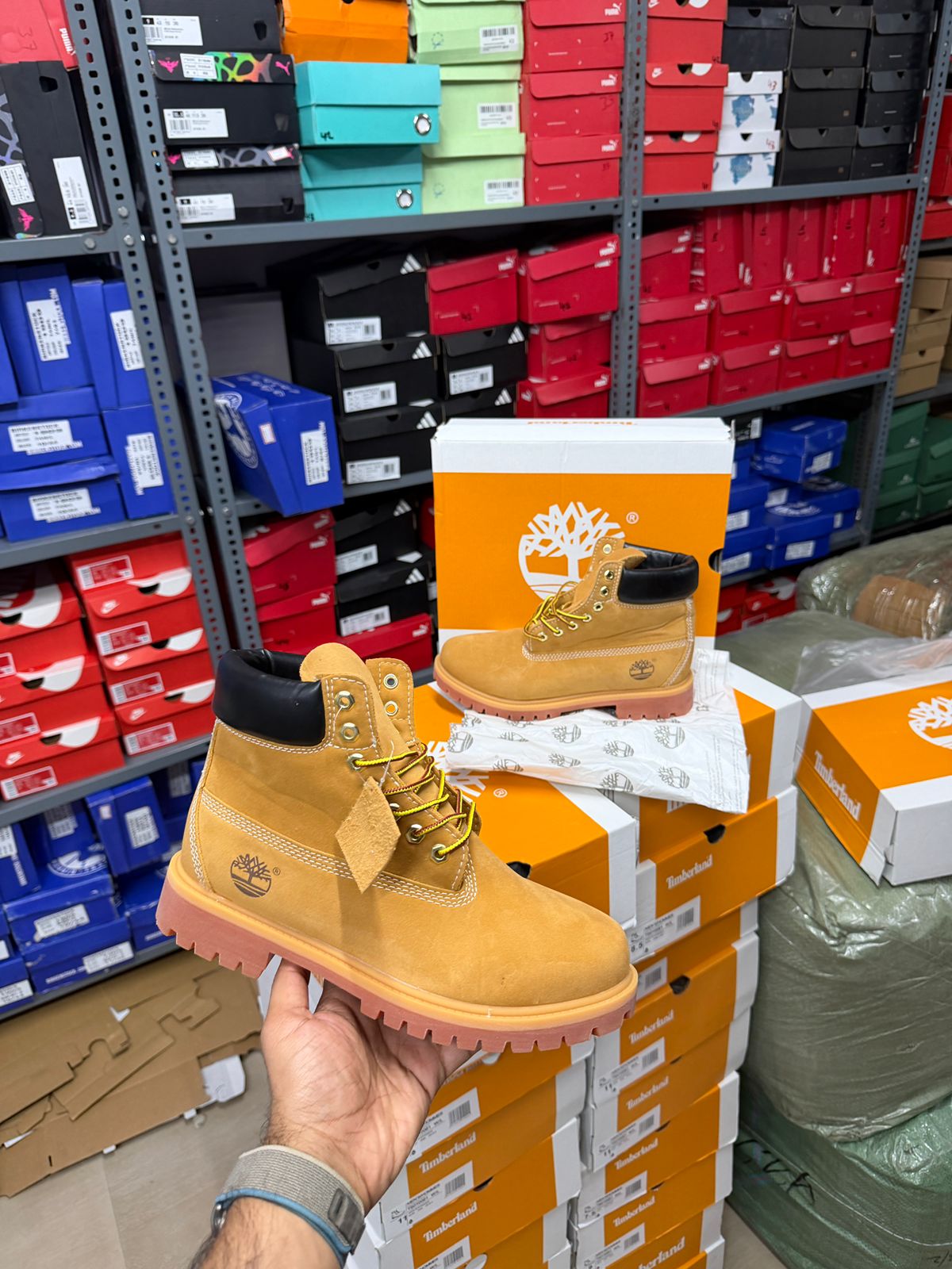 TIMBERLAND CLASSIC SUEDE STAND TAN WHEAT