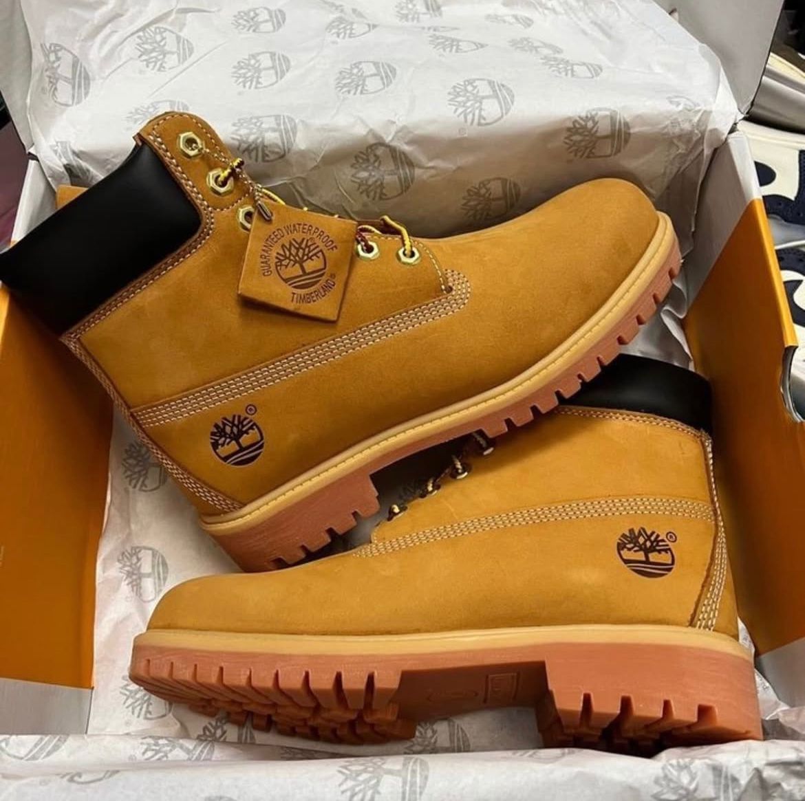 TIMBERLAND CLASSIC SUEDE STAND TAN WHEAT